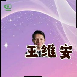 王维安